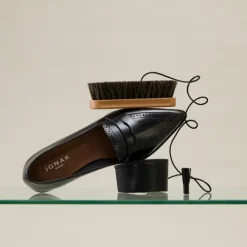 Brosse à reluire